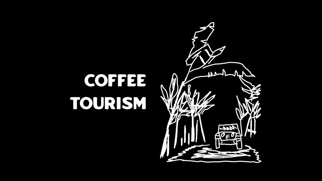Sustainable Coffee Travel: Exploring Coffee Farms and Eco-Friendly Cafes Around the World