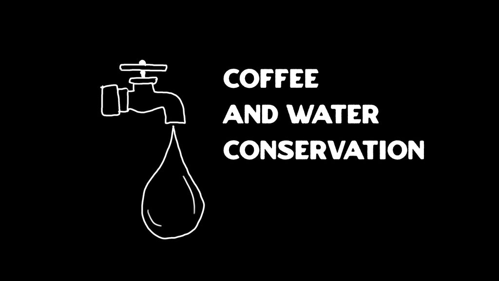 Coffee and Water Conservation: The Impact of Coffee Production on Water Resources
