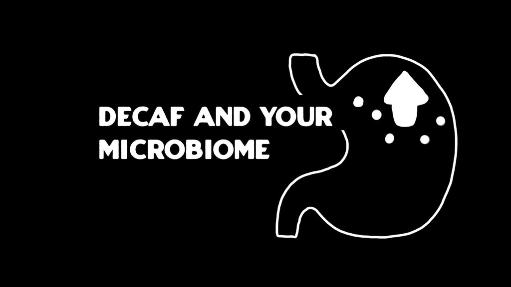 How Decaf Coffee Affects Your Gut Microbiome