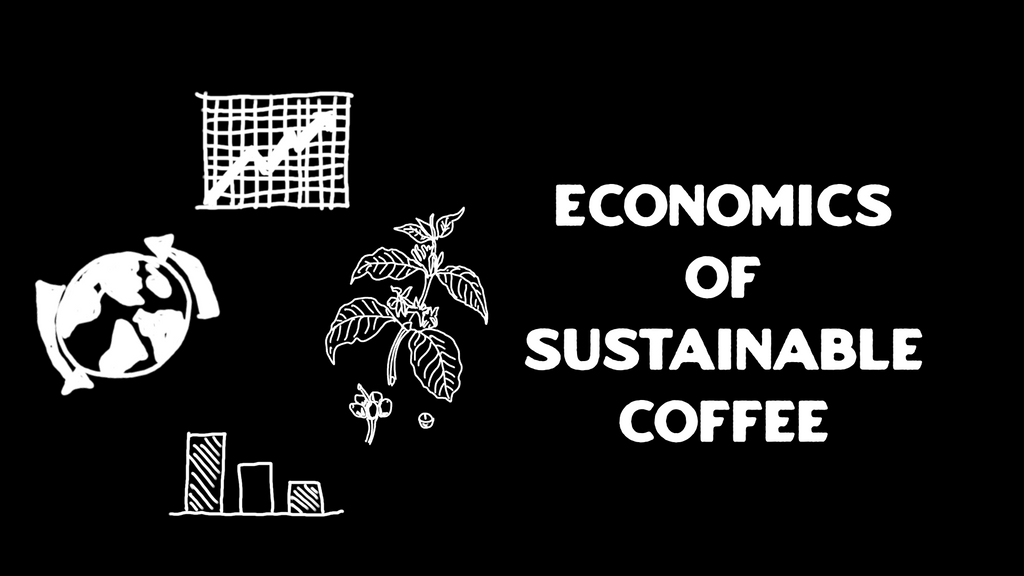 The Economics of Sustainable Coffee Farming
