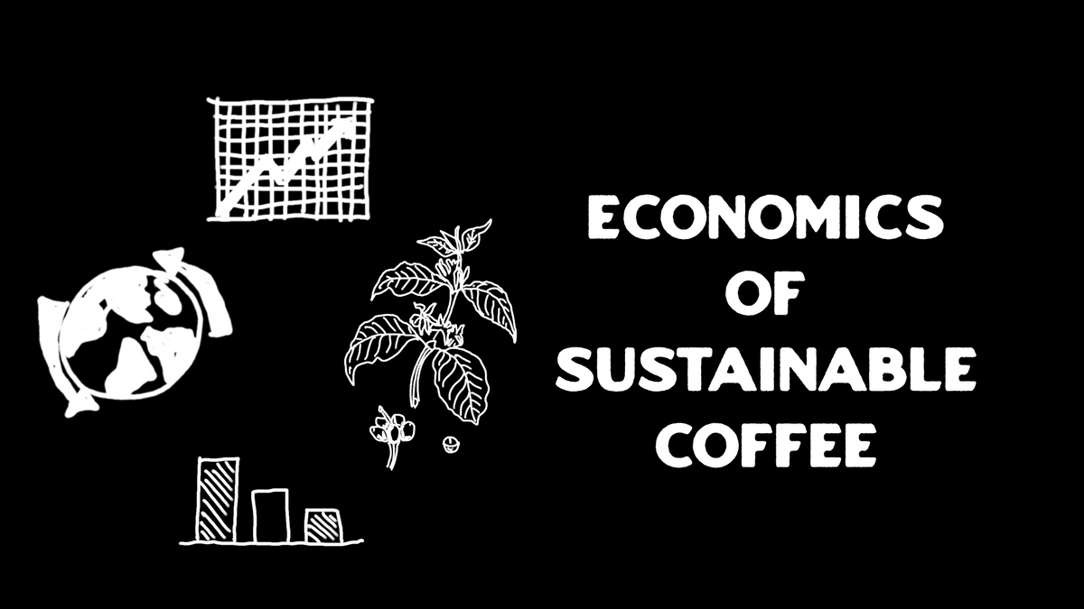 The Economics Of Sustainable Coffee Farming Nowhere Coffee Club