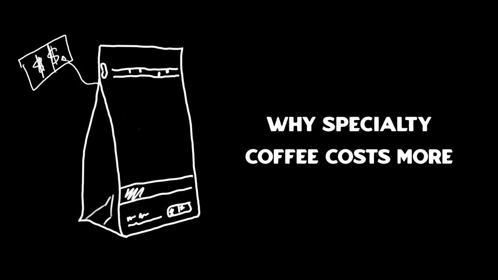Why Specialty Coffee Can Be Expensive – And How to Get It for Less