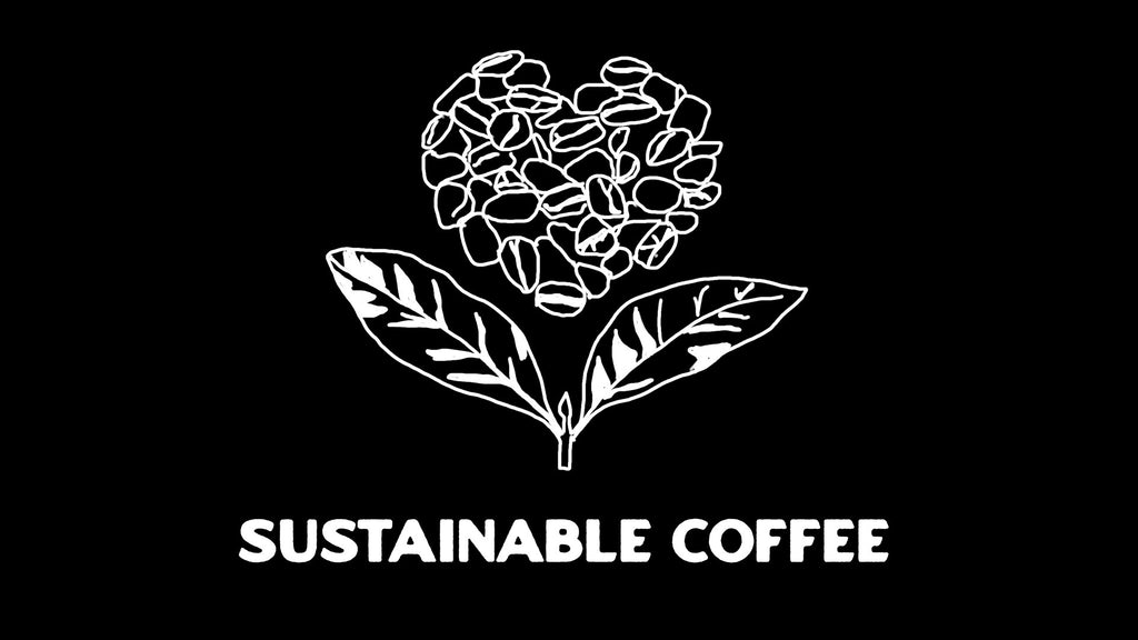 Consumer Choices for Sustainable Coffee: How to Make Informed Decisions