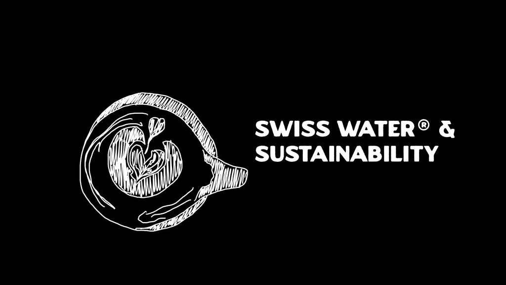 How the Swiss Water® Process Supports a More Sustainable Coffee Industry