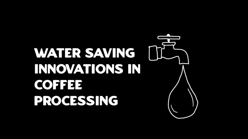 Water-Saving Innovations in Coffee Processing