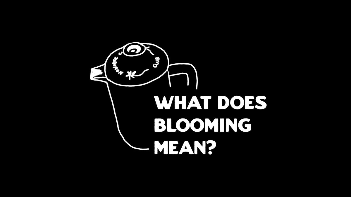 What Does Blooming Mean In Coffee And Should You Do It With A Frenc What does blooming mean in coffee and should you do it with a frenc