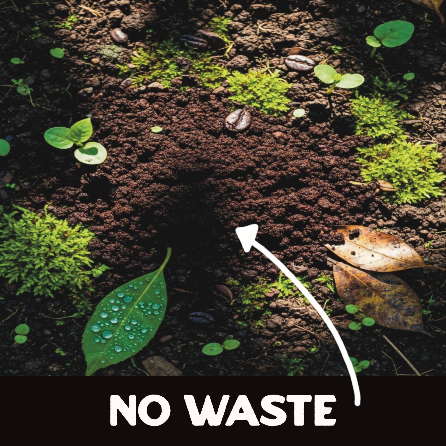 zero waste brewing
